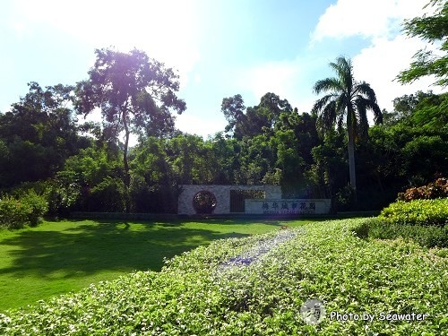 梅華城市公園 梅華城市公園