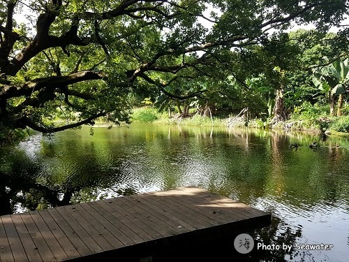 珠海接霞莊 珠海接霞莊