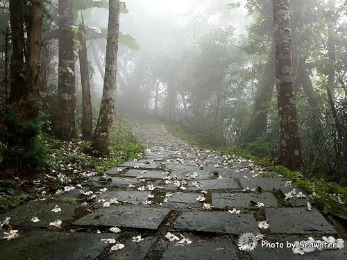 大山背休閒農業區-大旗崠古道 大山背休閒農業區-大旗崠古道