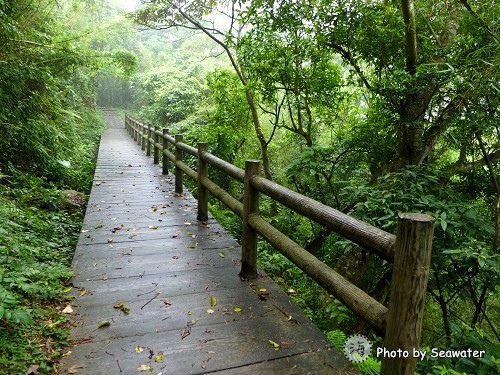 大山背休閒農業區-大旗崠古道 大山背休閒農業區-大旗崠古道