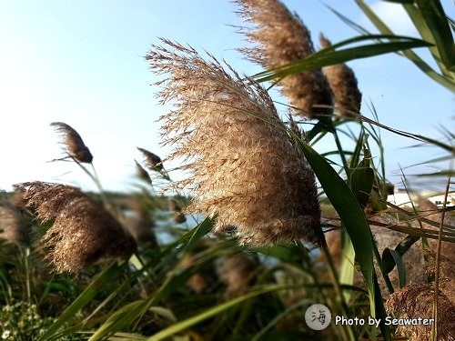水資源公園 水資源公園
