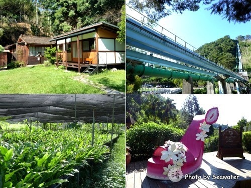 台中農村深度旅遊-東勢/慶福社區&新社/中和社區 台中農村深度旅遊-東勢/慶福社區&新社/中和社區