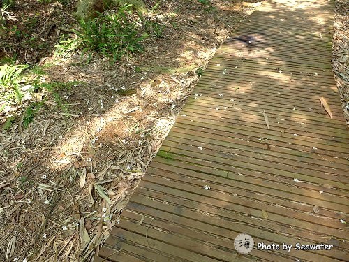高峰植物園 高峰植物園