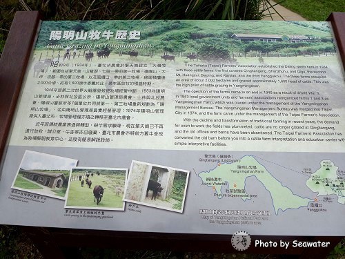擎天崗 擎天崗