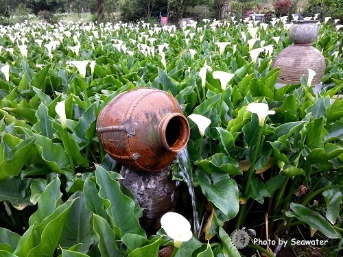 台寶休閒農村 台寶休閒農村