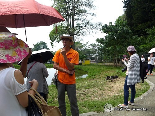 百果山克林姆莊園 百果山克林姆莊園