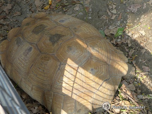 百果山克林姆莊園 百果山克林姆莊園