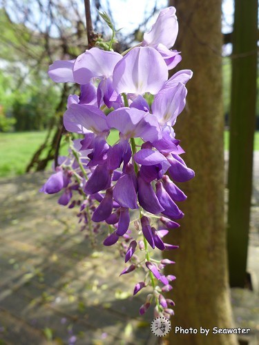 201604050124 201604050124