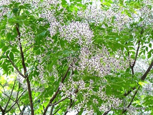 201604050186 201604050186