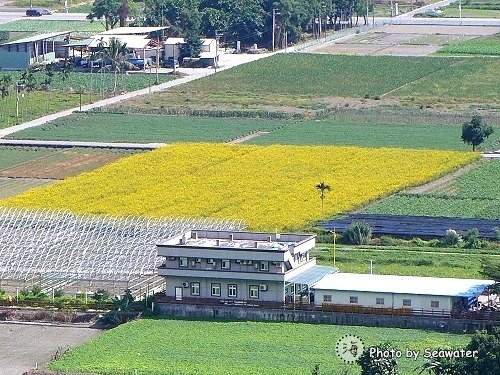 花蓮市,白雲步道,楓林步道 花蓮市,白雲步道,楓林步道