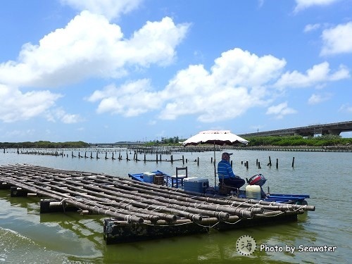 七股龍海號生態之旅 七股龍海號生態之旅