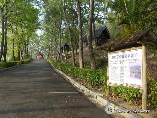 東勢林場遊樂區 中部的陽明山 台灣中部最美的森林花園