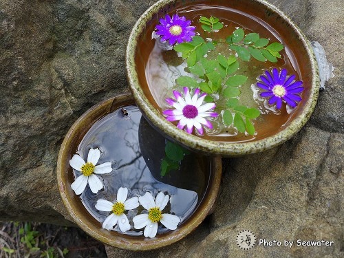 華陶窯 華陶窯