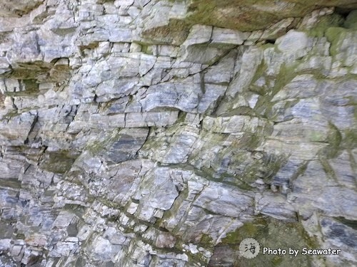 砂卡礑步道 砂卡礑步道