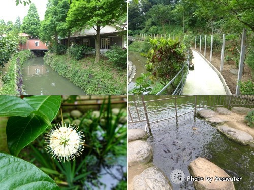 九芎湖飽覽生態景觀 開心農場樂遊遊 九芎湖飽覽生態景觀 開心農場樂遊遊