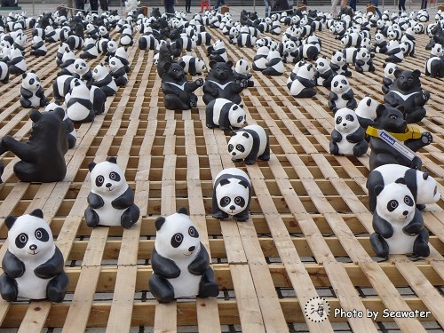 Pandas1600台北貓熊世界之旅 Pandas1600台北貓熊世界之旅