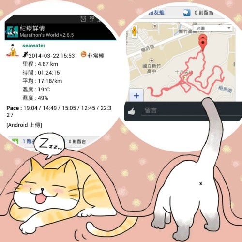 2014新竹市賞花月-十八尖山春賞幸福 2014新竹市賞花月-十八尖山春賞幸福