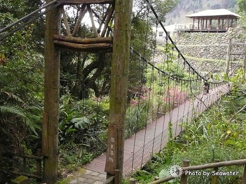 阿里山 迷糊步道 2 2 海水格格x饗樂生活