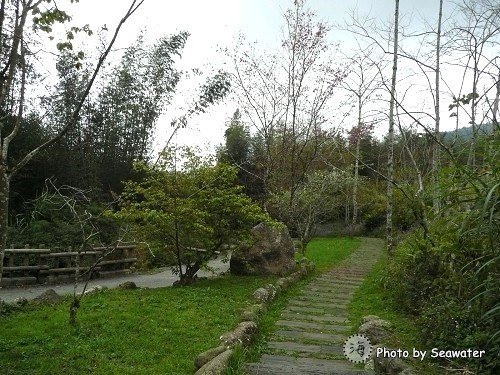 阿里山 迷糊步道 1 2 海水格格x饗樂生活