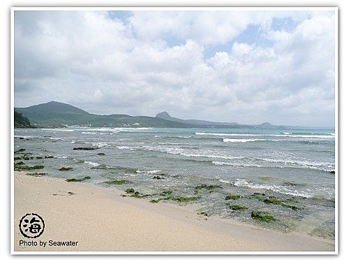 後壁湖海洋資源保護示範區 遍地是 膽 海水格格x饗樂生活