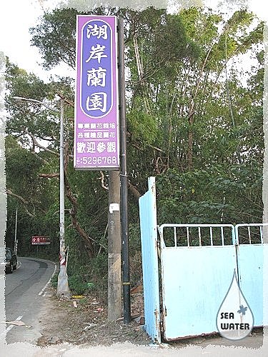 湖岸蘭園 海水格格x饗樂生活